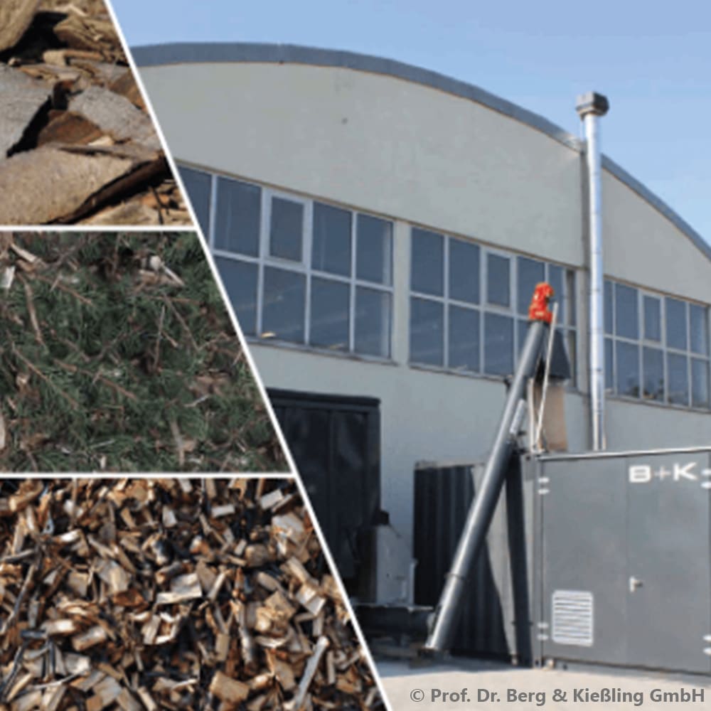 Innovative Biomassenutzung in der Quartier- und Nahwärmeversorgung